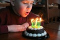 Young boy blowing out candles on birthday cake. Royalty Free Stock Photo