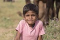 Young boy and camel involved in Pushkar Camel Mela Royalty Free Stock Photo