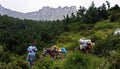 Young boy carrying garbage off the Mount Olympus with his horses