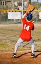 Young Boy Catching Baseball Royalty Free Stock Photo