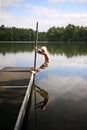 Young Boy Child Playing on Dock by Water on Small Lake Royalty Free Stock Photo