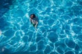 Boy Underwater Surfacing Pool Royalty Free Stock Photo