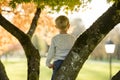 Young boy climbing an autumn tree Royalty Free Stock Photo