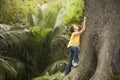 Young Boy Climbing Large Tree Royalty Free Stock Photo