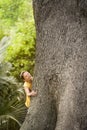 Young Boy Climbing Large Tree Royalty Free Stock Photo