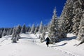 Young boy climbing during winter Royalty Free Stock Photo