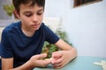 Young boy concentrating while playing a board game outdoors on a sunny day, illustrating focus and childhood leisure