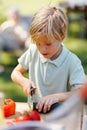 Young boy cutting vegetables for grilling. Royalty Free Stock Photo