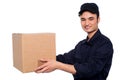 Young boy delivering parcel Royalty Free Stock Photo