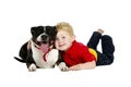 Young boy and dog isolated on a white background Royalty Free Stock Photo