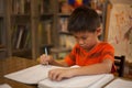 Young boy doing school work Royalty Free Stock Photo
