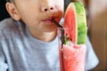 Young boy drink watermelon juice Royalty Free Stock Photo