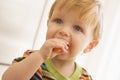 Young boy eating carrot indoors Royalty Free Stock Photo