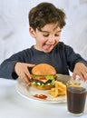 Young boy eating chessburger Royalty Free Stock Photo