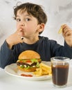 Young boy eating chessburger Royalty Free Stock Photo