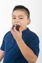 Young Boy Eating Cookie Royalty Free Stock Photo