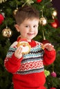 Young Boy Eating Cookie In Front Of Christmas Tree Royalty Free Stock Photo