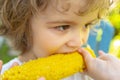 Young boy eating corn on the cob. Autumn lifestyle. Homegrown organic food. Vegan children nutrition. Royalty Free Stock Photo