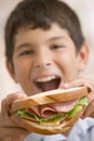 Young boy eating sandwich Royalty Free Stock Photo