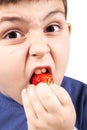 Young boy eating strawberries Royalty Free Stock Photo