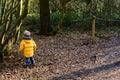 Young boy exploring outdoors Royalty Free Stock Photo