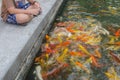 Young boy feeding koi carps Royalty Free Stock Photo