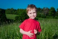 Young Boy in field Royalty Free Stock Photo