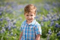 Young Boy in a Field of Blue Bonnets Flowers Royalty Free Stock Photo