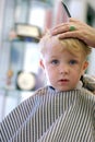 Young Boy getting a haircut