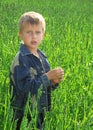 Young boy on green field grass Royalty Free Stock Photo