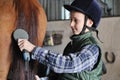 Young boy is grooming the horse Royalty Free Stock Photo