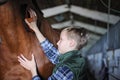 Young boy is grooming the horse Royalty Free Stock Photo