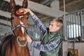 Young boy is grooming the horse Royalty Free Stock Photo