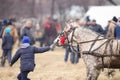 Young boy handles an adorned horse before an Epiphany celebration horse race Royalty Free Stock Photo
