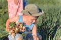 Young Boy Harvesting Green Onions at the Farm Royalty Free Stock Photo