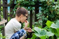 A young boy is harvesting raspberries from a Bush in the countryside