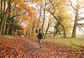 Young Boy Having Fun Running Along Path Through Autumn Woodland Flying Kite Royalty Free Stock Photo