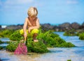 Young boy having fun on tropcial beach Royalty Free Stock Photo