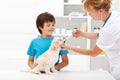Young boy with his dog at the veterinary Royalty Free Stock Photo