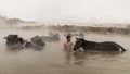 Young boy and his horse in thermal water, Guroymak, Bitlis Royalty Free Stock Photo