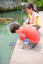 Young boy and his sister admiring a young turtle Royalty Free Stock Photo