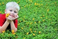 Boy Lying in Field of Yellow Flowers Royalty Free Stock Photo