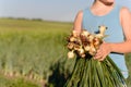 Young Boy Holding Green Onions at the Farm Royalty Free Stock Photo
