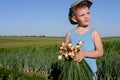 Young Boy Holding Green Onions at the Farm Royalty Free Stock Photo