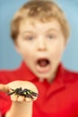 Young Boy Holding Plastic Spider Royalty Free Stock Photo