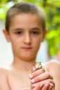 Young boy holding a tiny green frog Royalty Free Stock Photo