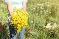 Young boy holding yellow flowers in the field Royalty Free Stock Photo
