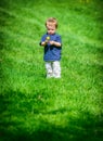 Young Boy Inspecting a Dandelion Flower Royalty Free Stock Photo