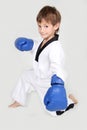 Young boy kickboxing fighter isolated on white Royalty Free Stock Photo