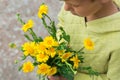 Young boy, kid child hands with yellow wild flowers Royalty Free Stock Photo